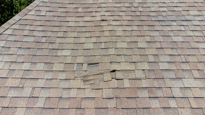 Asphalt Roof Inspection in Meherrin, VA