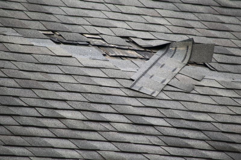 Asphalt Roof Leak Repair in Buckingham, VA
