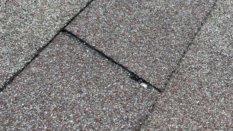 Asphalt Roof Repair in Appomattox County, VA