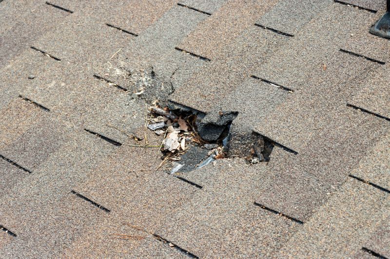 Asphalt Roof Replacement in Keysville, VA