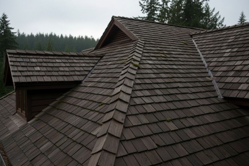 Cedar Shake Roof Replacement in Farmville, VA