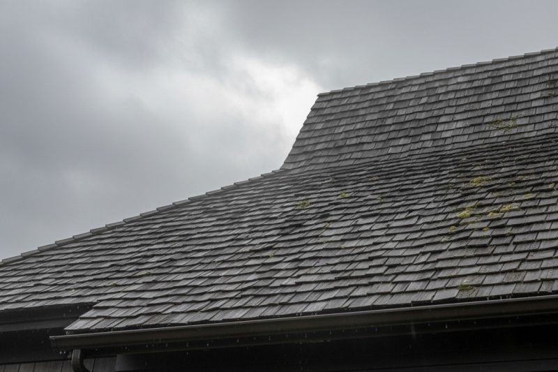 Cedar Shingles Replacement in Meherrin, VA
