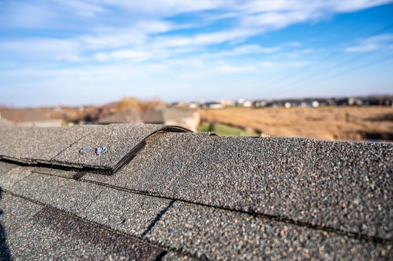 Damaged Roof Repair in Charlotte County, VA