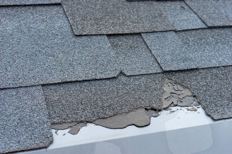Damaged Roof Repair in Crewe, VA