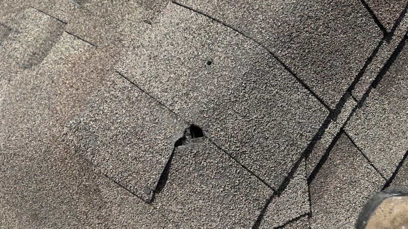 Damaged Roof Repair in Farmville, VA