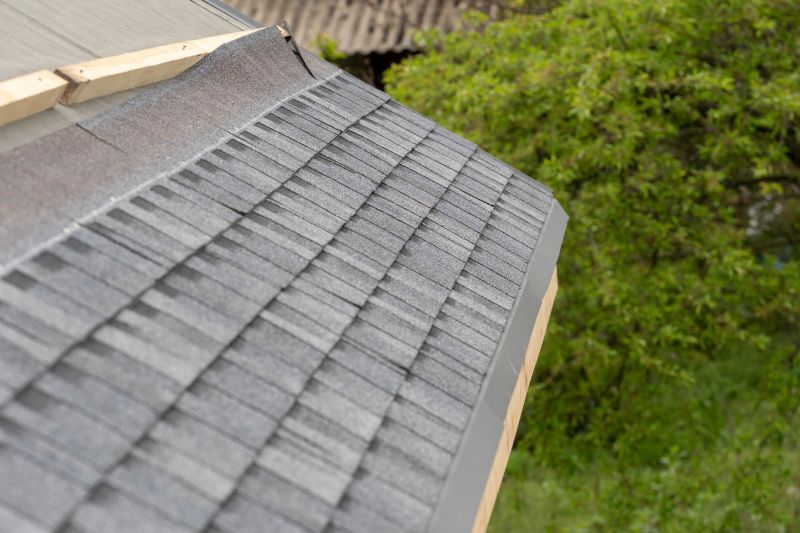 Damaged Roof Repair in Meherrin, VA