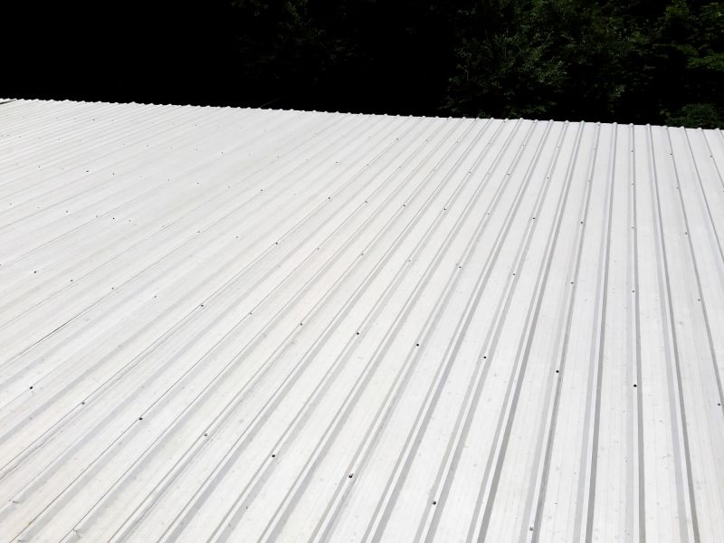 Galvanized Roof Repair in Farmville, VA
