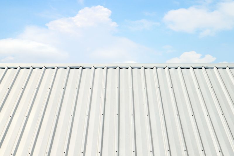 Metal Roof Coating Service in Farmville, VA
