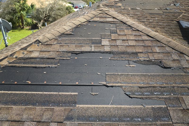 Roof Hail Damage Repair in Farmville, VA
