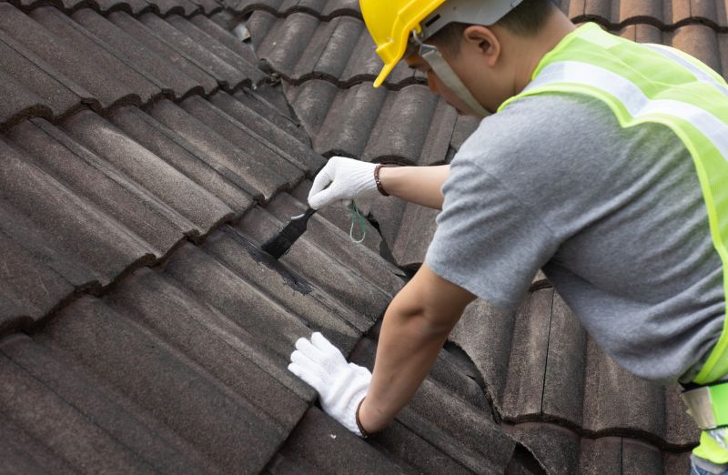 Roof Patching Service in Farmville, VA