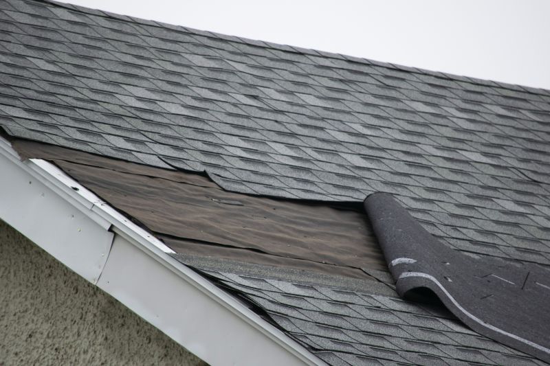 Roof Ridge Repair in Farmville, VA