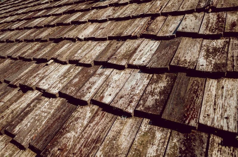 Shake Roof Replacement in Farmville, VA