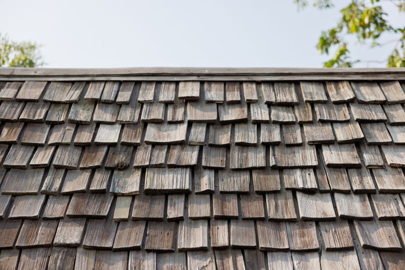 Shake Shingle Repair in Appomattox County, VA
