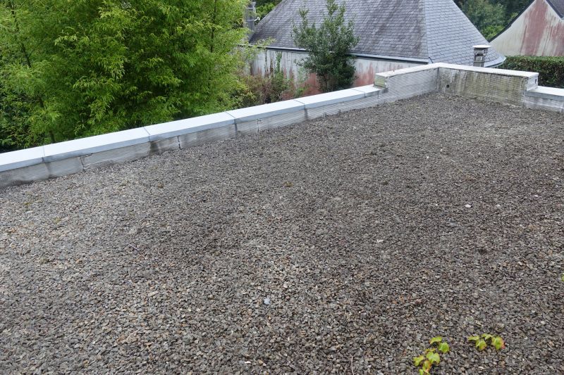 Tar And Gravel Roof Repair in Buckingham County, VA