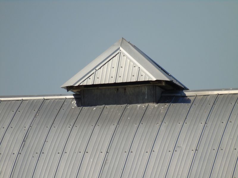 Tin Roof Installation in Prince Edward County, VA