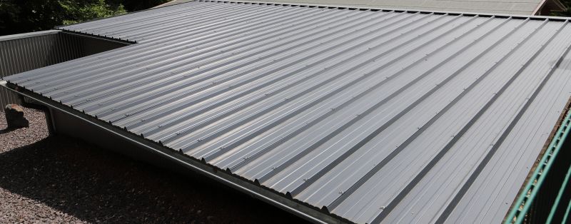 Tin Roof Installation in Victoria, VA