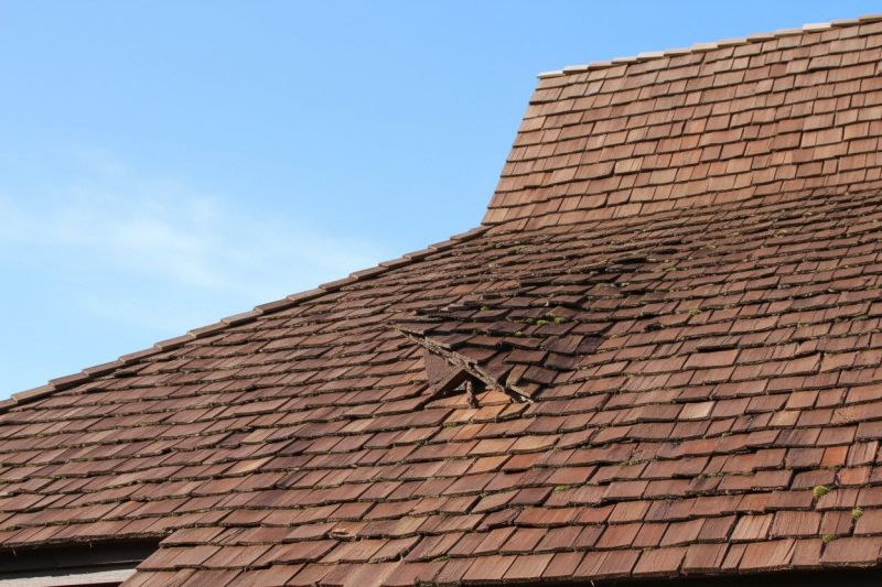 Wood Shake Roof Replacement in Buckingham County, VA